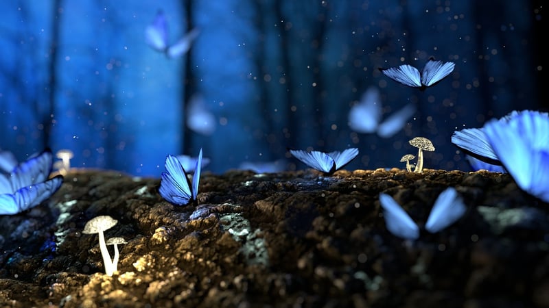 Enchanted Tokens